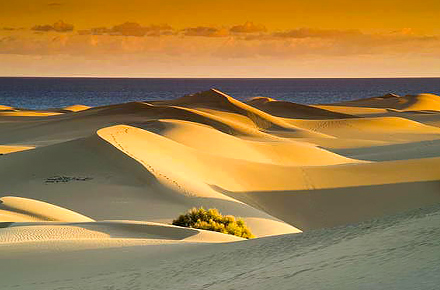 dunas corralejo fuerteventura